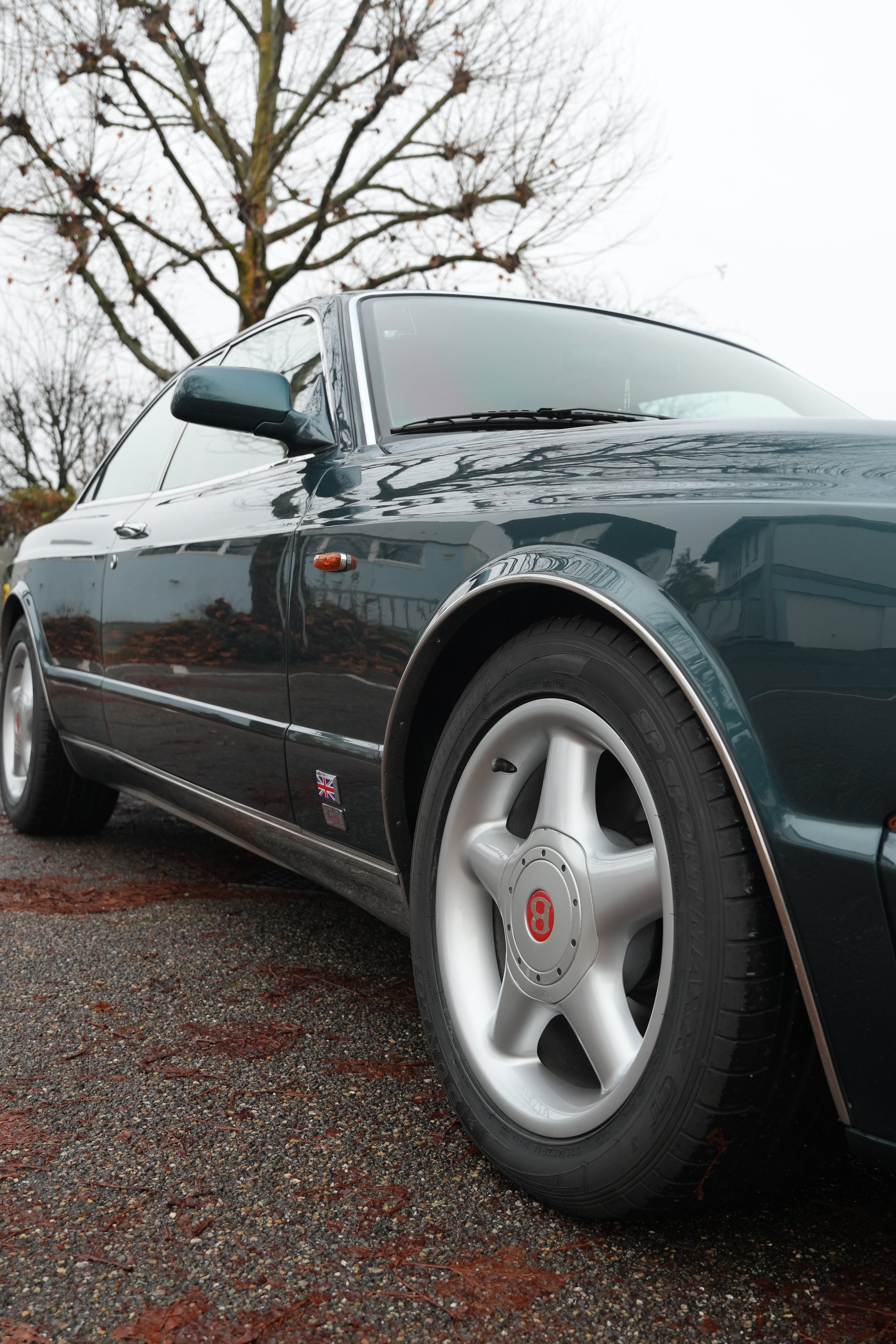 Bentley Continental R400 Sondermodell - 1/6 weltweit - Sammlerfahrzeug